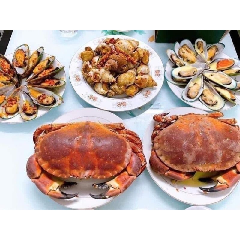 CUA NÂU SIÊU NHIỀU GẠCH SCOTLAND