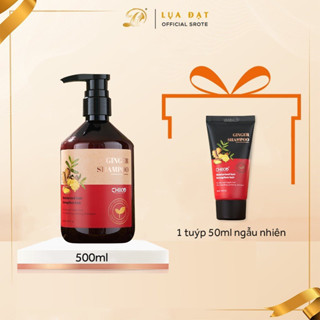 Dầu gội dược liệu CHIKO chiết xuất gừng tươi giảm rụng tóc hỗ trợ mọc tóc 50ml 500ml