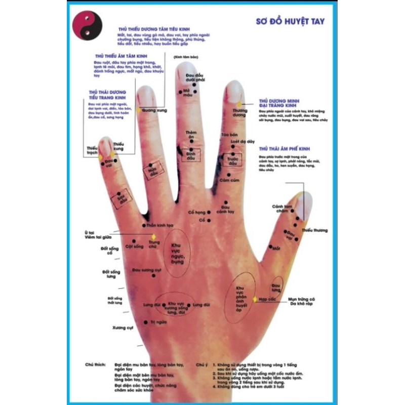 Tranh huyệt vị mu bàn tay 70×90cm