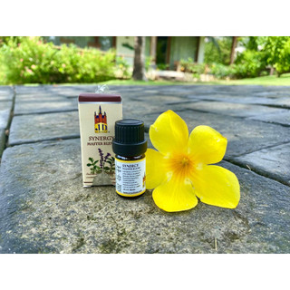 Chấm Hàm Do Thái - Synergy Master Blend