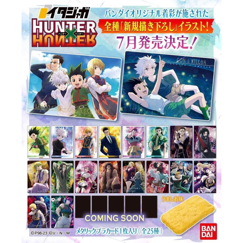 HUNTER X HUNTER WAFER PACK HxH