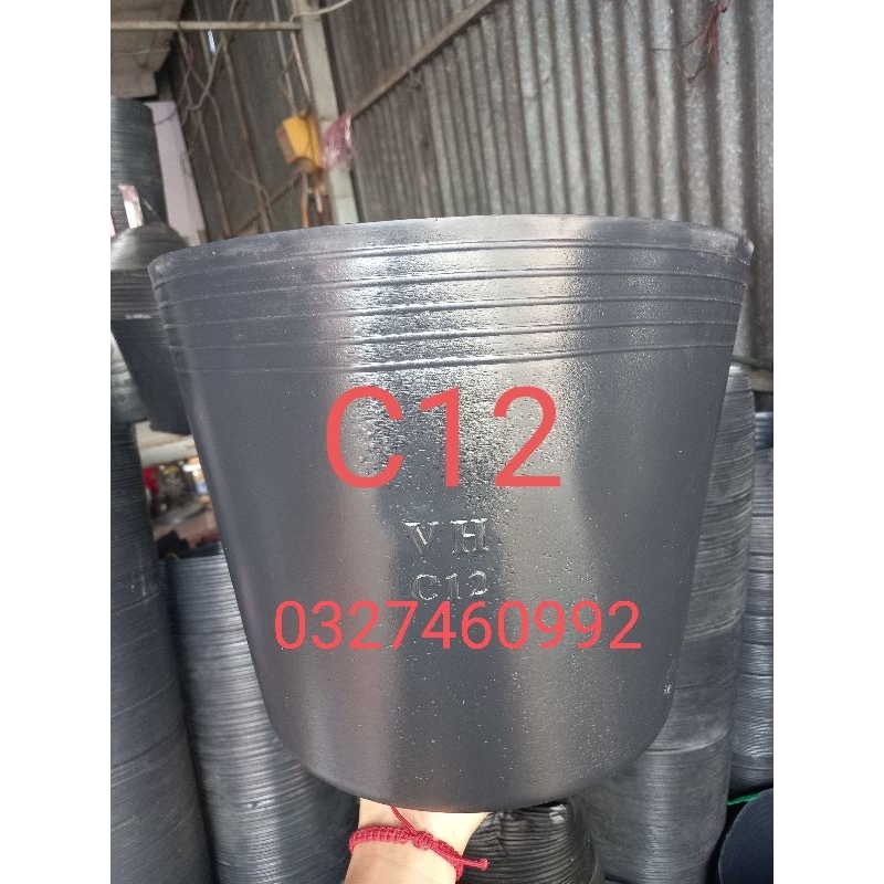 Combo 50 Chậu C12 Liên An