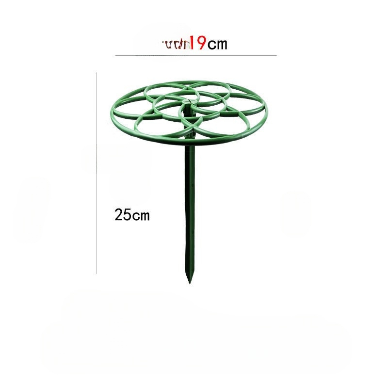 Giá đỡ hoa,cây cảnh tạo hình cho cây