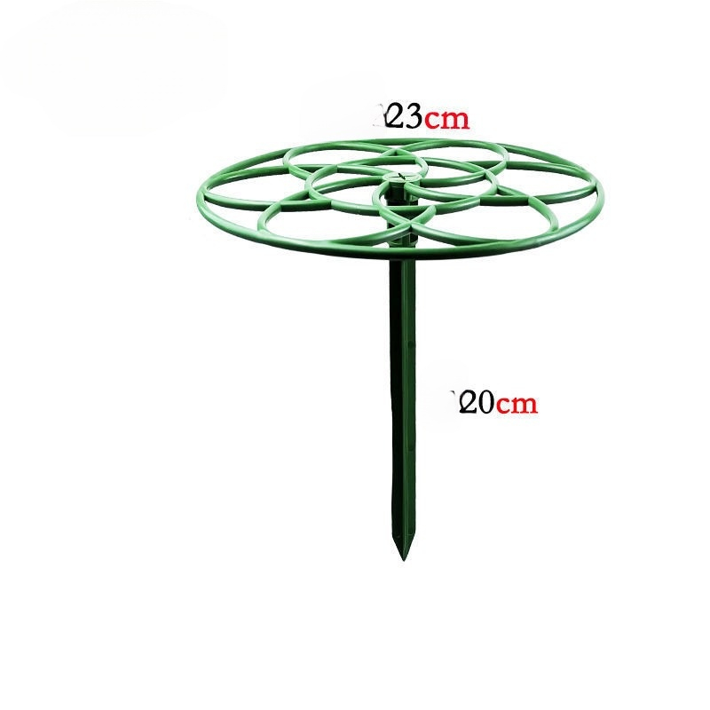 Giá đỡ hoa,cây cảnh tạo hình cho cây