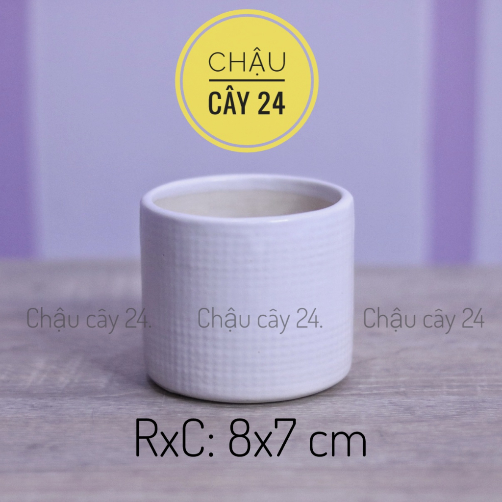Chậu sen đá mini hình trụ kẻ, chậu men sứ trồng cây cảnh để bàn, tiểu cảnh bonsai