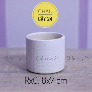 Chậu sen đá mini hình trụ kẻ, chậu men sứ trồng cây cảnh để bàn, tiểu cảnh bonsai