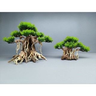 Cây gỗ Lũa Bonsai Tán Tùng [Cam, đỏ, xanh, vàng kem]