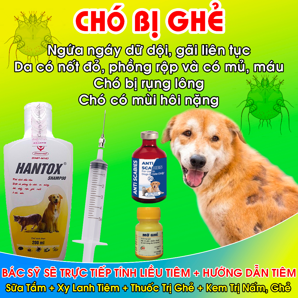 COMBO TRỊ GHẺ TRÊN CHÓ - LOẠI BỎ GHẺ LÂU NĂM