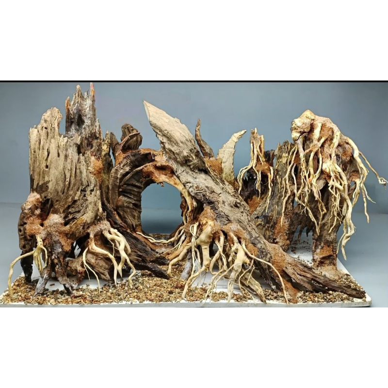 Gỗ lũa bonsai cho hồ thủy sinh