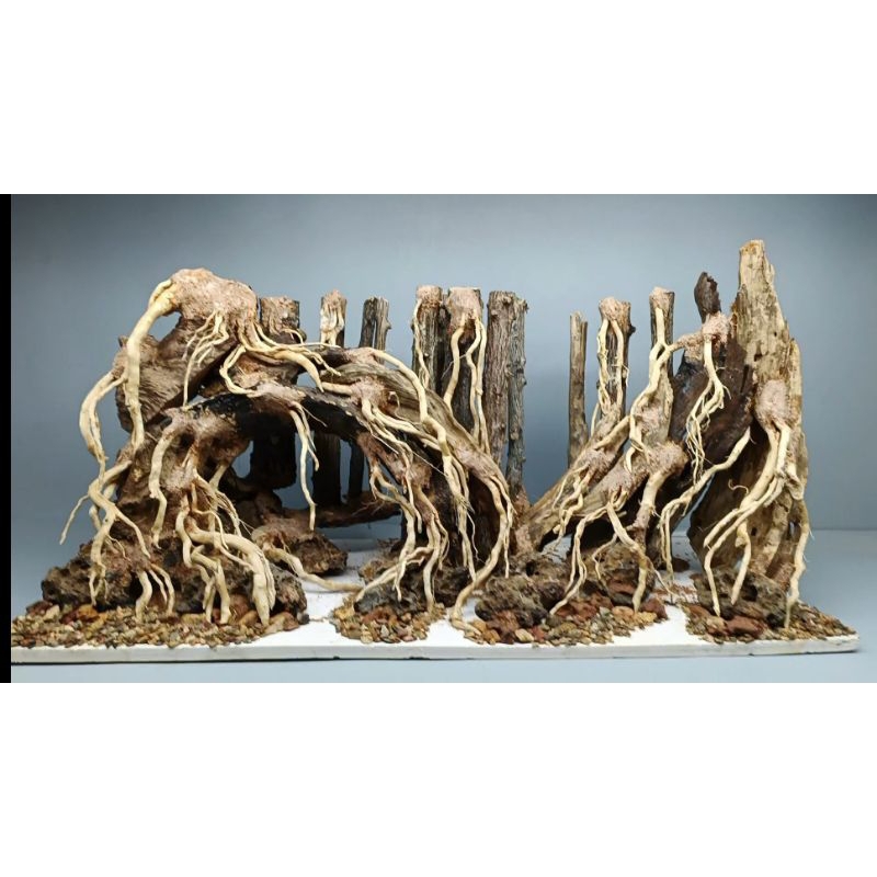 Gỗ lũa bonsai cho hồ thủy sinh