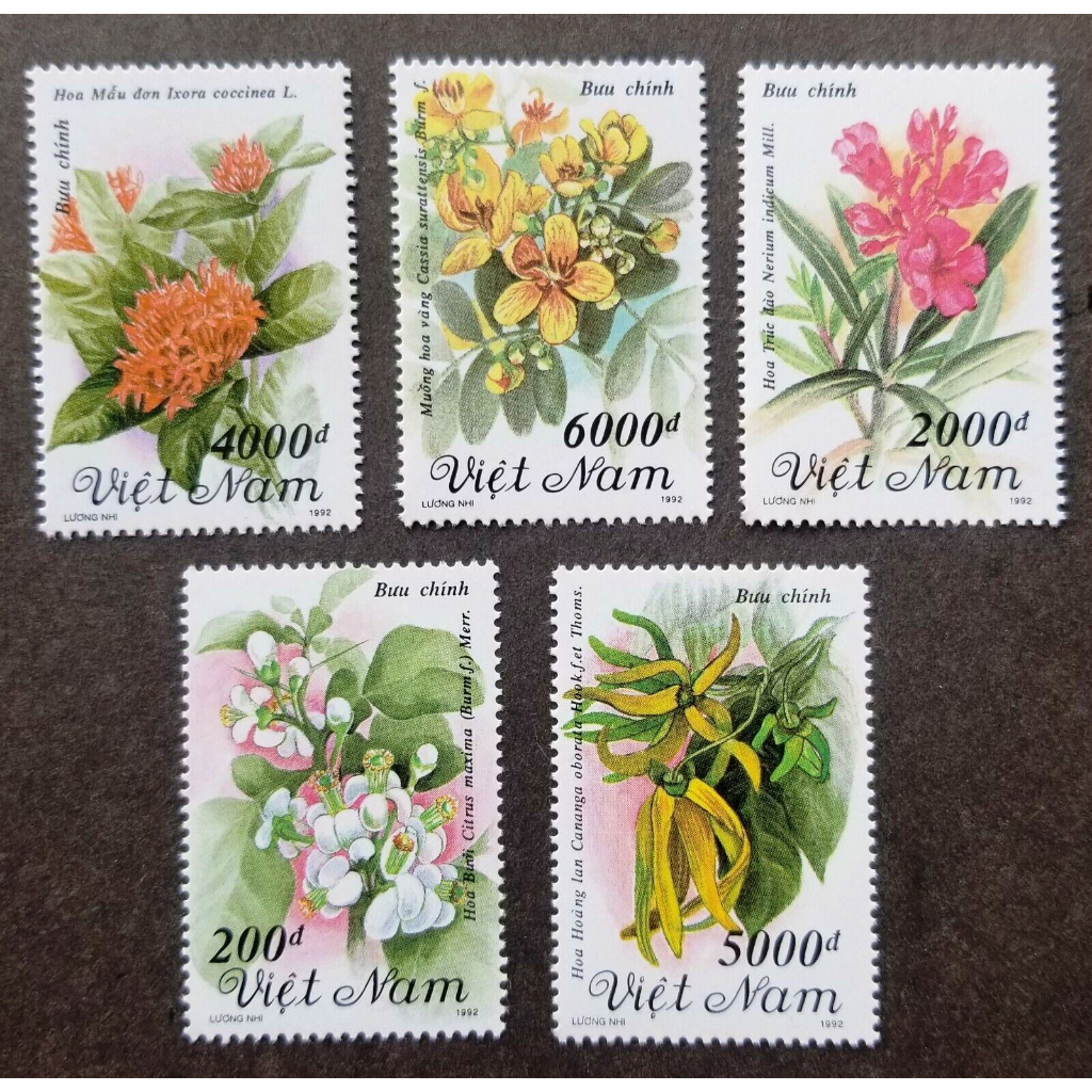 Tem sưu tập Việt Nam MS 647 Hoa thân gỗ 1992