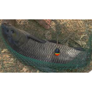 Bài thính 26 vị T.huố.c bắc chuyên trắm đen - chép