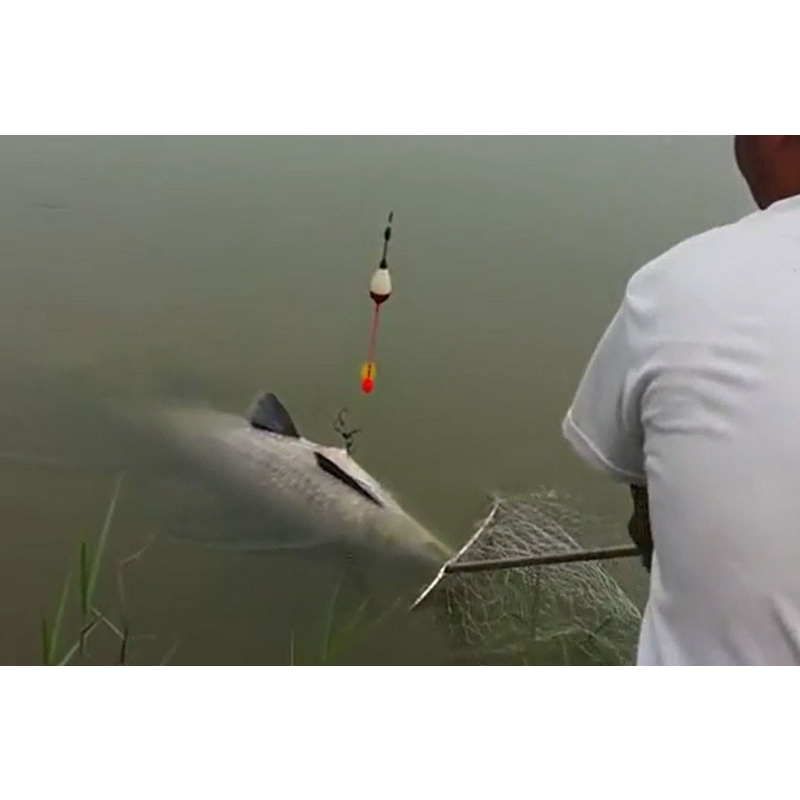 Bài thính 26 vị T.huố.c bắc chuyên trắm đen - chép