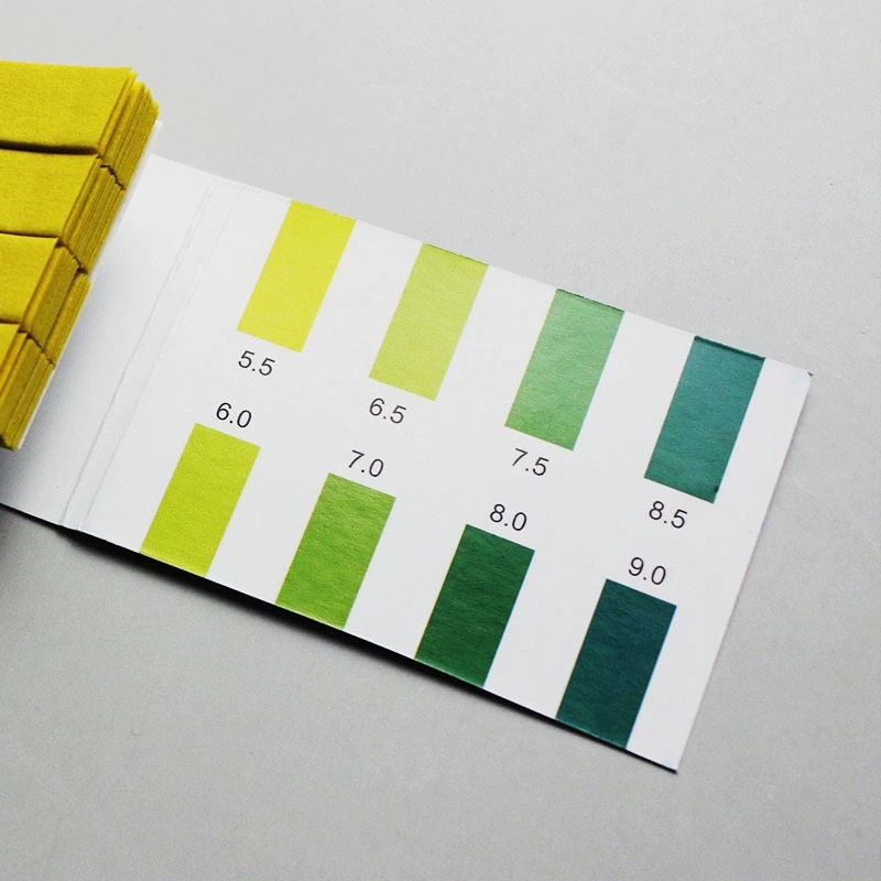 𝗚𝗶𝗮̂́𝘆 𝗤𝘂𝘆̀ 𝗧𝗶́𝗺 𝗧𝗵𝘂̛̉ Đ𝗼̣̂ 𝗽𝗛 Kèm Bảng Màu So Sánh Kết Quả