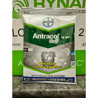 Antracol gói 40g diệt nấm thán thư, đốm đen, sương mai dành cho hoa cây cảnh
