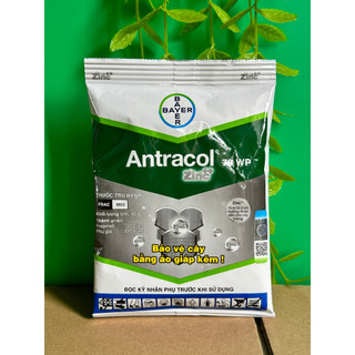 Antracol 70WP 40g trị nấm sương mai, vàng lá, thán thư, rỉ sắt dành cho hoa lan cây cảnh