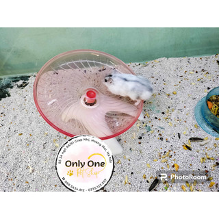 Well chạy - Đĩa chạy cho hamster - Onlyonepetshop