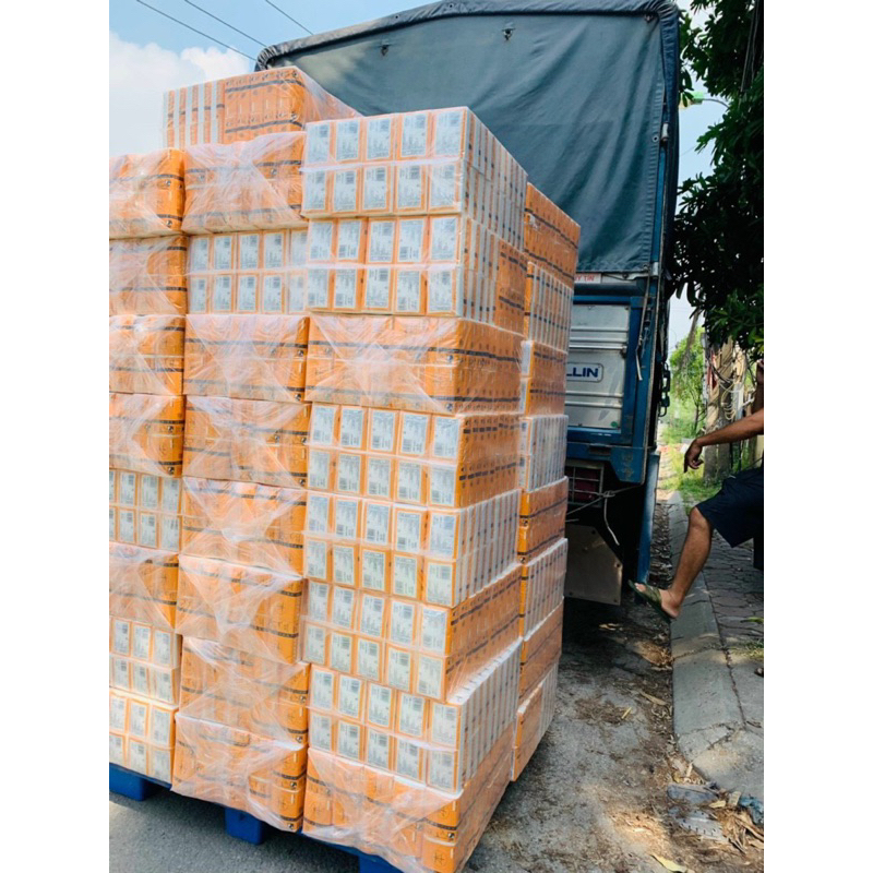 Giấy ăn gấu trúc, cầu vòng siêu mềm mịn 3 lớp cây 10 gói