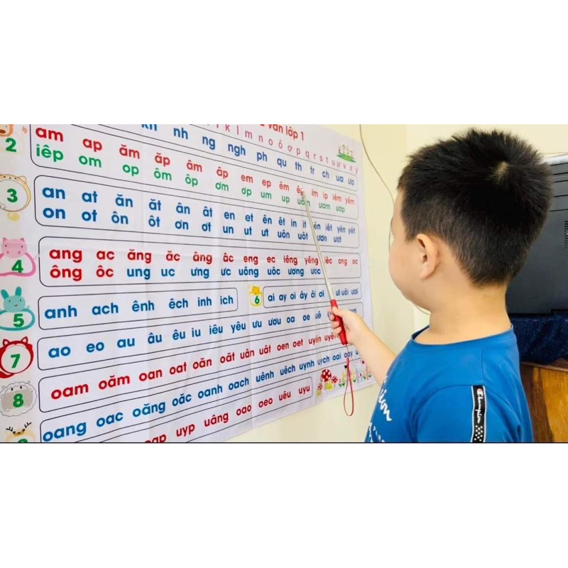 Que chỉ bảng cho giáo viên, học sinh