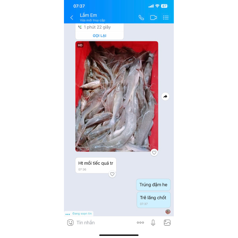 MỒI THUỐC CÁ LĂNG CÁ DA TRƠN 500G