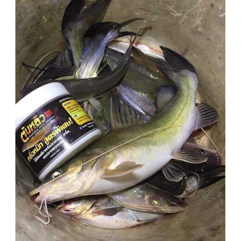 MỒI CÂU CÁ LĂNG THÁI LAN 250G