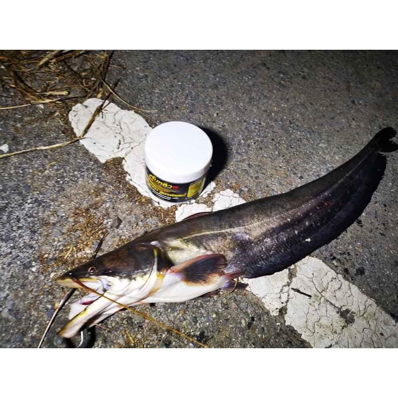 MỒI CÂU CÁ LĂNG THÁI LAN 250G