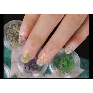 Set hoa khô nhỏ trang trí móng
