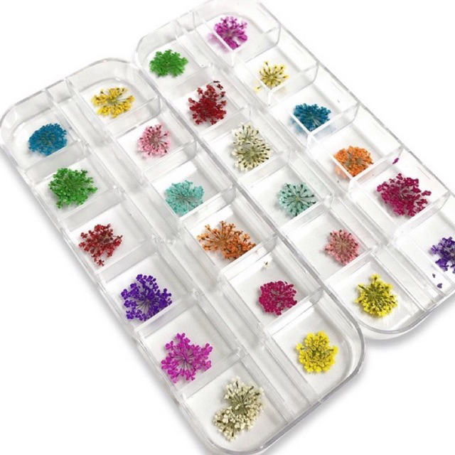 Set hoa khô nhỏ trang trí móng
