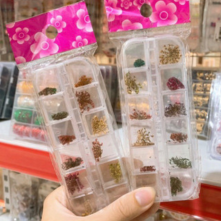 Set hoa khô nhỏ trang trí móng