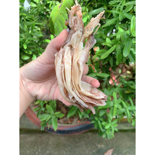combo 1kg khô mực 70/80 con