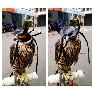 mũ chim săn mồi ( mẫu batman ) - hood phụ kiện falconry