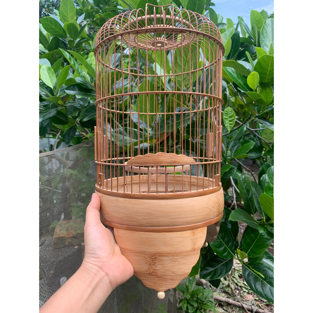 Lồng chim khuyên Melody. Lồng chim khuyên đục 3D sắc nét