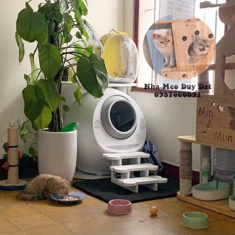 Bậc thang kê máy vệ sinh cho mèo, Catlink, Petkit, Para...