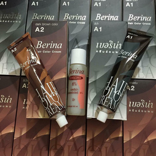 Combo 2 Hộp Nhuộm Tóc Berina - BX3198