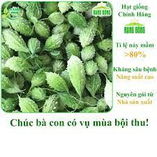 Khổ Qua Rừng Rado 52