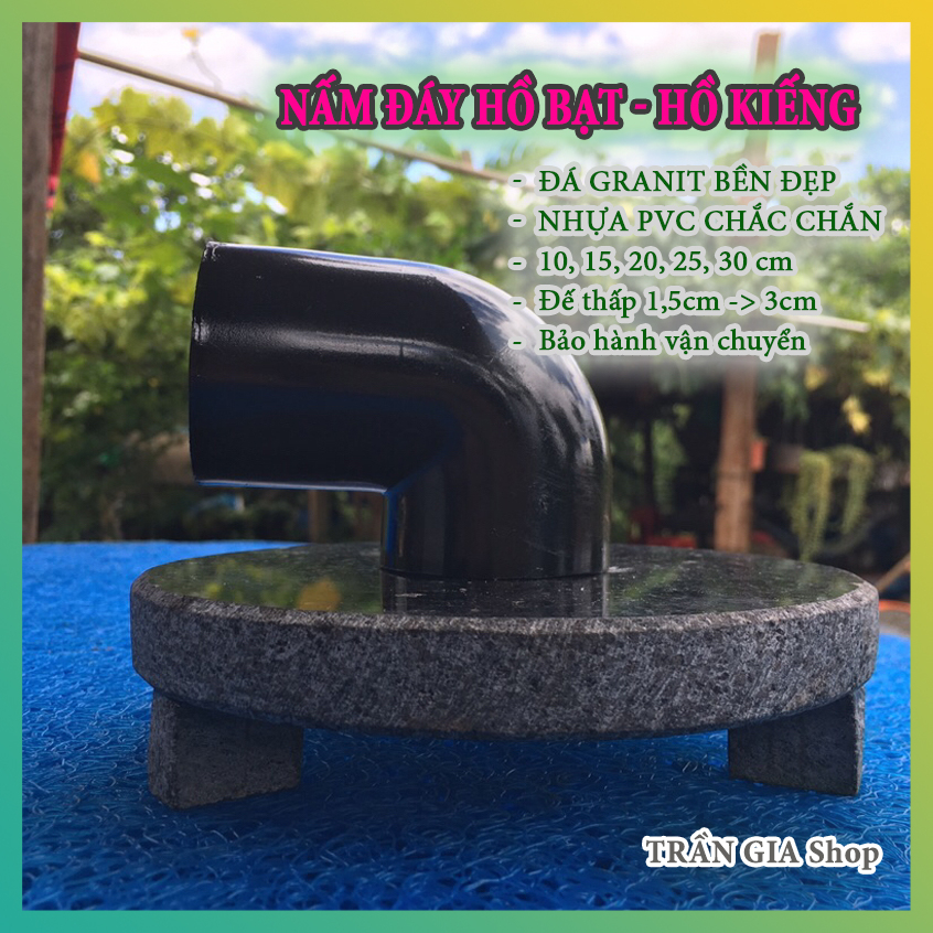 Nấm đáy hồ koi - hồ bạt - hồ kiếng