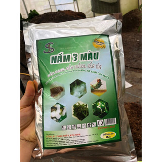 Nấm 3 màu đối kháng nấm bệnh sinh học