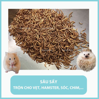 Sâu sấy khô bổ sung canxi cho Hamster, Nhím, Sóc, Chim,… - Gau.petshop