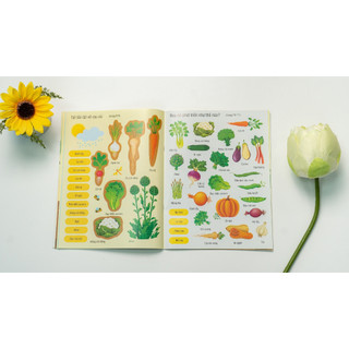 Sách-First sticker book - Dán hình đầu đời cho bé