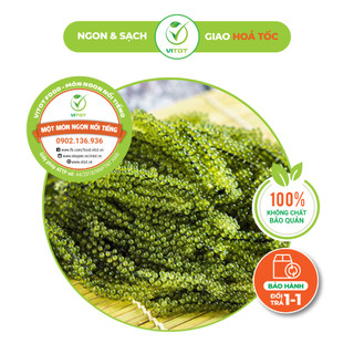 [HỎA TỐC] Rong Nho Biển Hữu Cơ