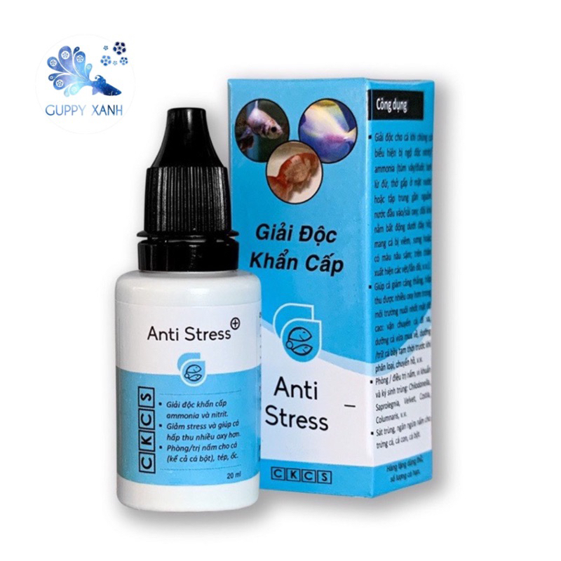 COMBO ANTI PARA - Giải Độc Khẩn Cấp, Giảm Căng Thẳng và Phòng cho Cá Cảnh