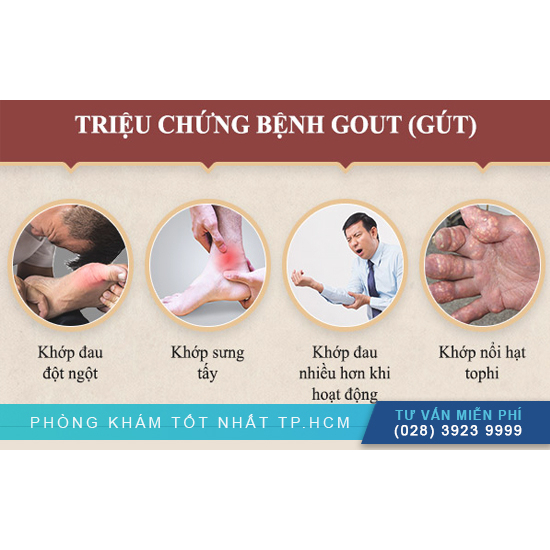 HÀ THỐNG PHONG - XUA TAN NỖI LO VỀ GÚT  -  GÚT CẤP, GÚT MẠN TÍNH, GIẢM AXIT URIC