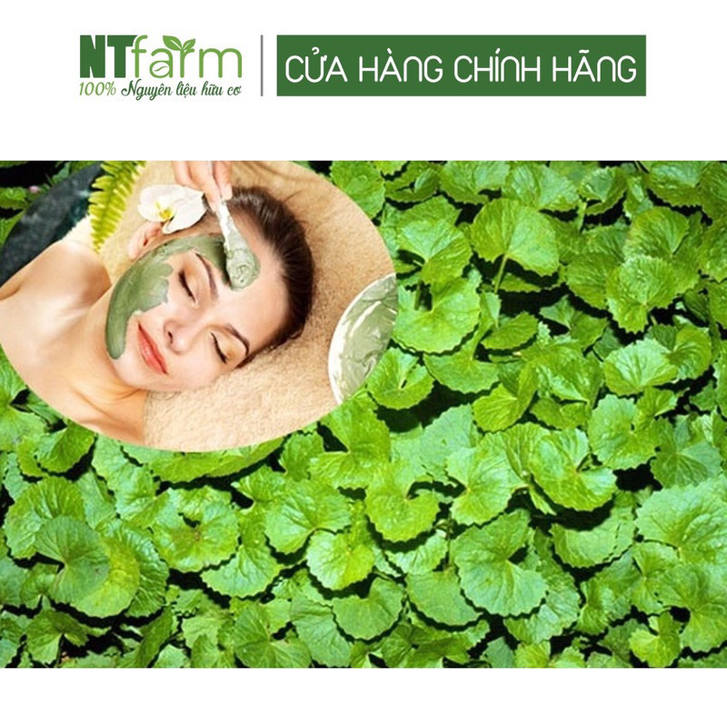 Bột rau má NTFARM hữu cơ 100gr mua 2 tặng 1