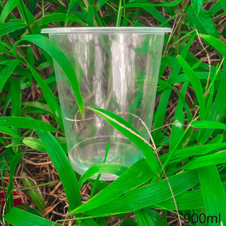 50 Ly Nhựa 900ml