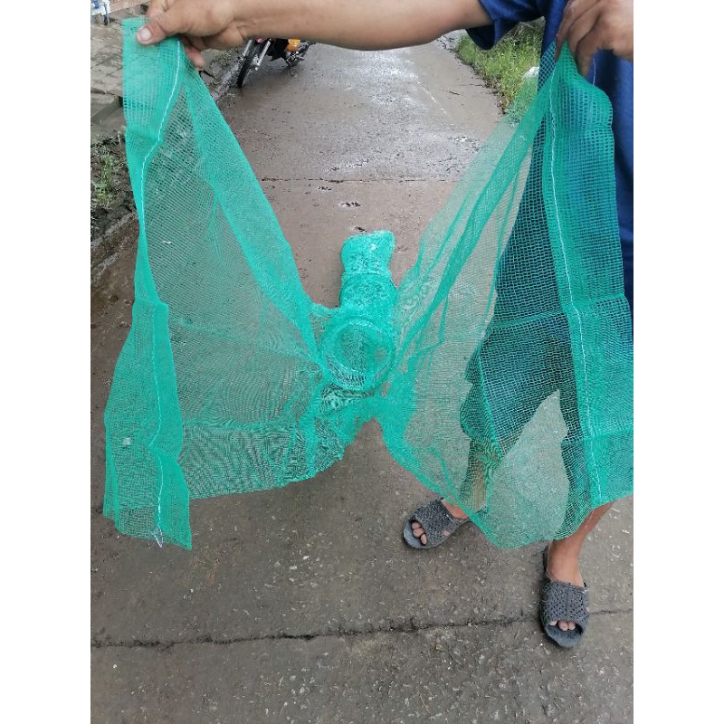 Dớn Cốc bắt cá, đuôi 5 vành dài 1m7, đăng xanh cao 80cm dài 2m5.