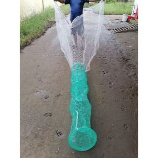 Dớn bắt cá miền tây.