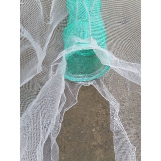 Dớn bắt cá MIỀN TÂY. ( Đăng Trắng, ĐK 30CM )