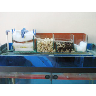 Đá nham thạch trải nền hồ cá [s]