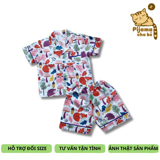 Bộ Pijama đùi mặc nhà cho bé vải Thô cotton mịn đẹp hút mồ hôi size 10-20kg cho bé 1-5 tuổi nhiều mẫu hình thú ngộ ngĩnh