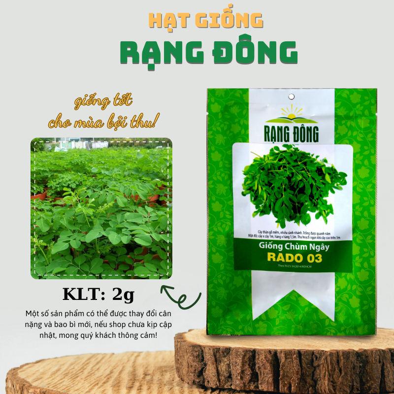 Hạt giống Chùm Ngây nhiều công dụng, trồng quanh năm (gói 2 gr) - Hạt giống Rạng Đông